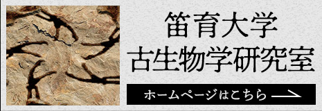 笛育大学古生物学研究室　ホームページはこちら